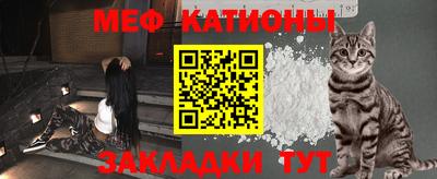 крисы Заводоуковск