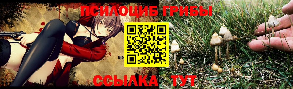 Ленинск-Кузнецкий  Псилоцибиновые грибы Magic Shrooms  Вход с VPN 