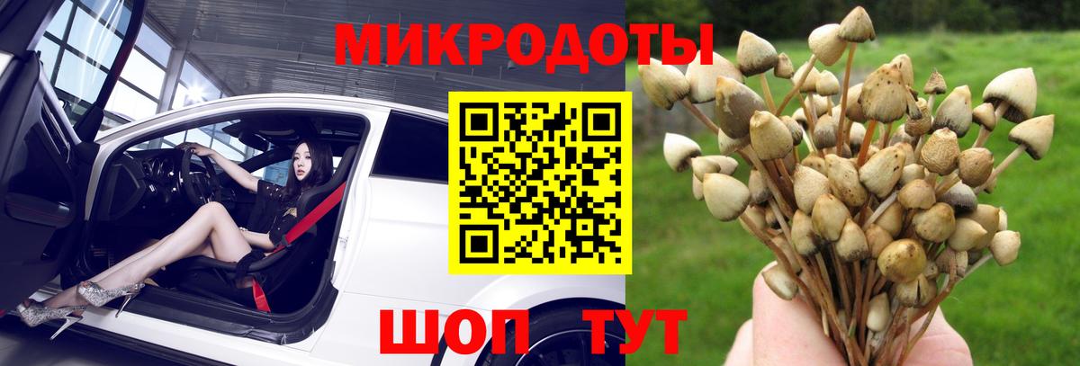 Галлюциногенные грибы Magic Shrooms Ленинск-Кузнецкий